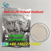 High Yield Rate BMK Powder CAS 5449-12-7 UK Netherlands warehouse stock Call +86 18602718056