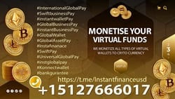 "The Future of Wealth: Monetizing Your Virtual Funds Online" +15127666017 