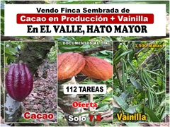 OPORTUNIDAD UNICA, Finca Sembrada de CACAO en Producción ´+ VAINILLA en El Valle, HATO MAYOR, 112 tareas, RD$ 7,500,000.00