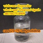 International Quality Pyrrolidine/Tetrahydro Pyrrole CAS 123 75-1 in Stock
