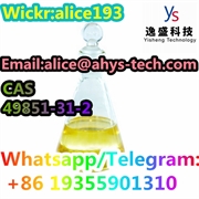  High Purity  CAS49851-31-2 2-Bromo-1-phenyl-1-pentanone  CAS49851-31-2