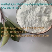 product name