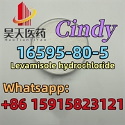 product name