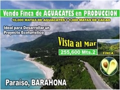 Vendo Finca de AGUACATE en PRODUCCION en Paraíso, BARAHONA, 255,600 Mts.2, VISTA AL MAR , US$ 995,000.00