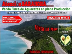 Vendo Finca de AGUACATE en Paraíso, BARAHONA, 255,600 Mts.2, VISTA AL MAR (en Producción), US$ 995,000.00