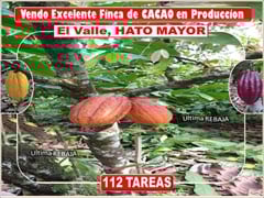 Vendo Finca en El Valle , Hato Mayor Del Rey , RD$ 5,800,000.00
