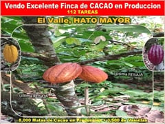 product name
