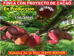 Vendo Finca de 3,700 tareas CON PROYECTO CACAO EN SABANA DE LA MAR (Cacao de Alto Rendimiento) , US$ 8,150,000.00