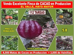 product name