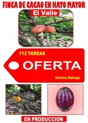 product name