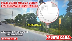 product name
