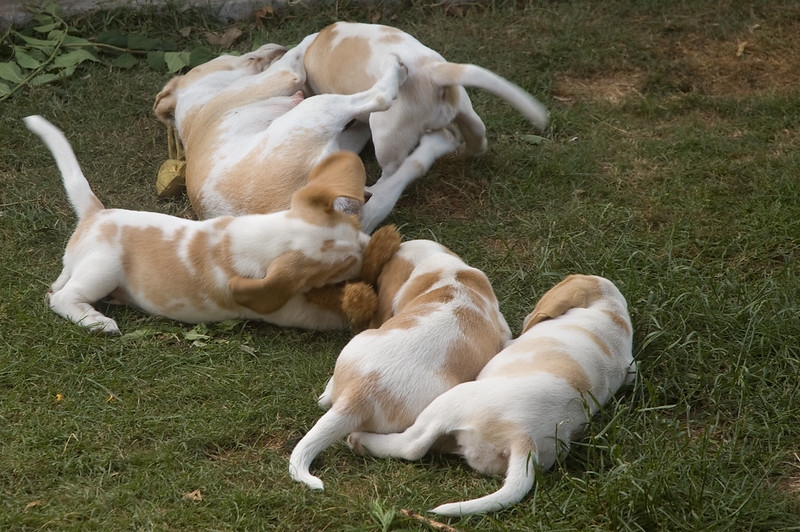 Sell or Rent Hotel en New York , United States123479