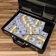 We are looking for a project to invest in 