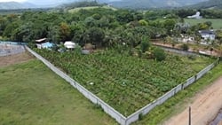 FINCA DE 10 TAREAS DE VENTA EN BONAO