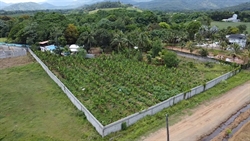 FINCA DE 10 TAREAS DE VENTA EN BONAO